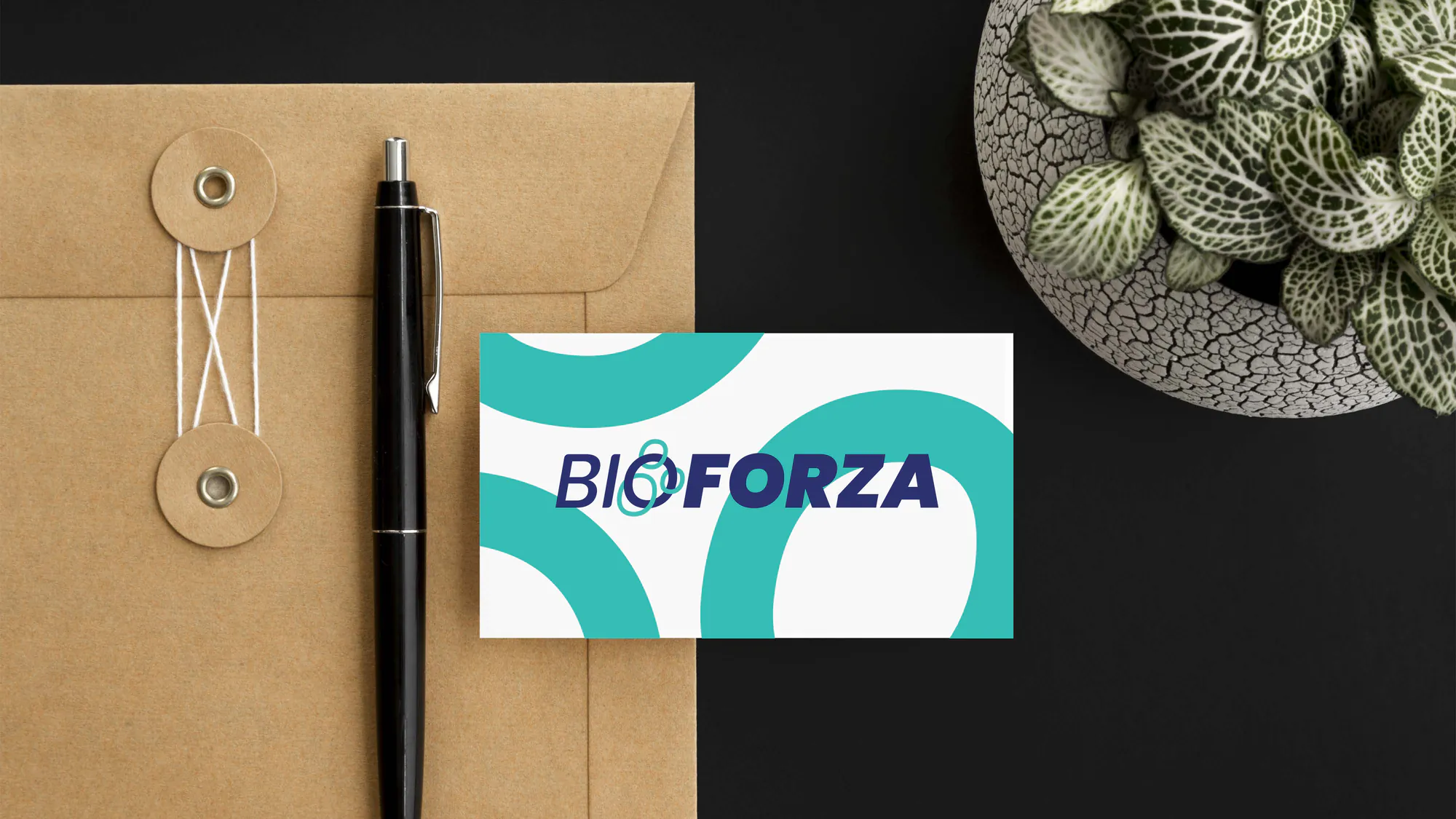 BioForza gallery image 2